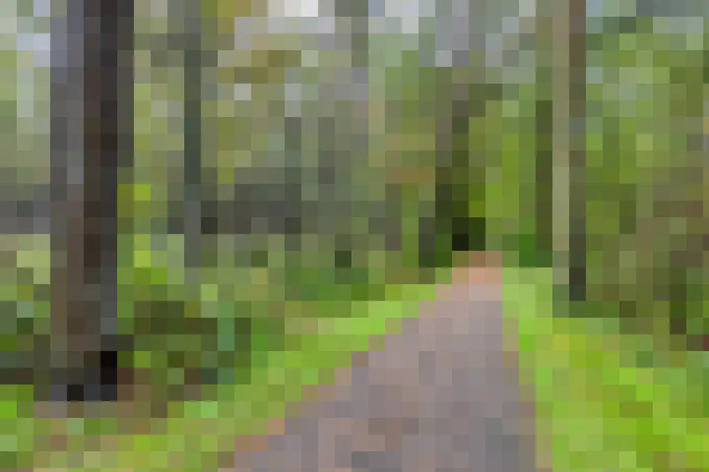 Voorsteweg 19 Norg thumbnail 36