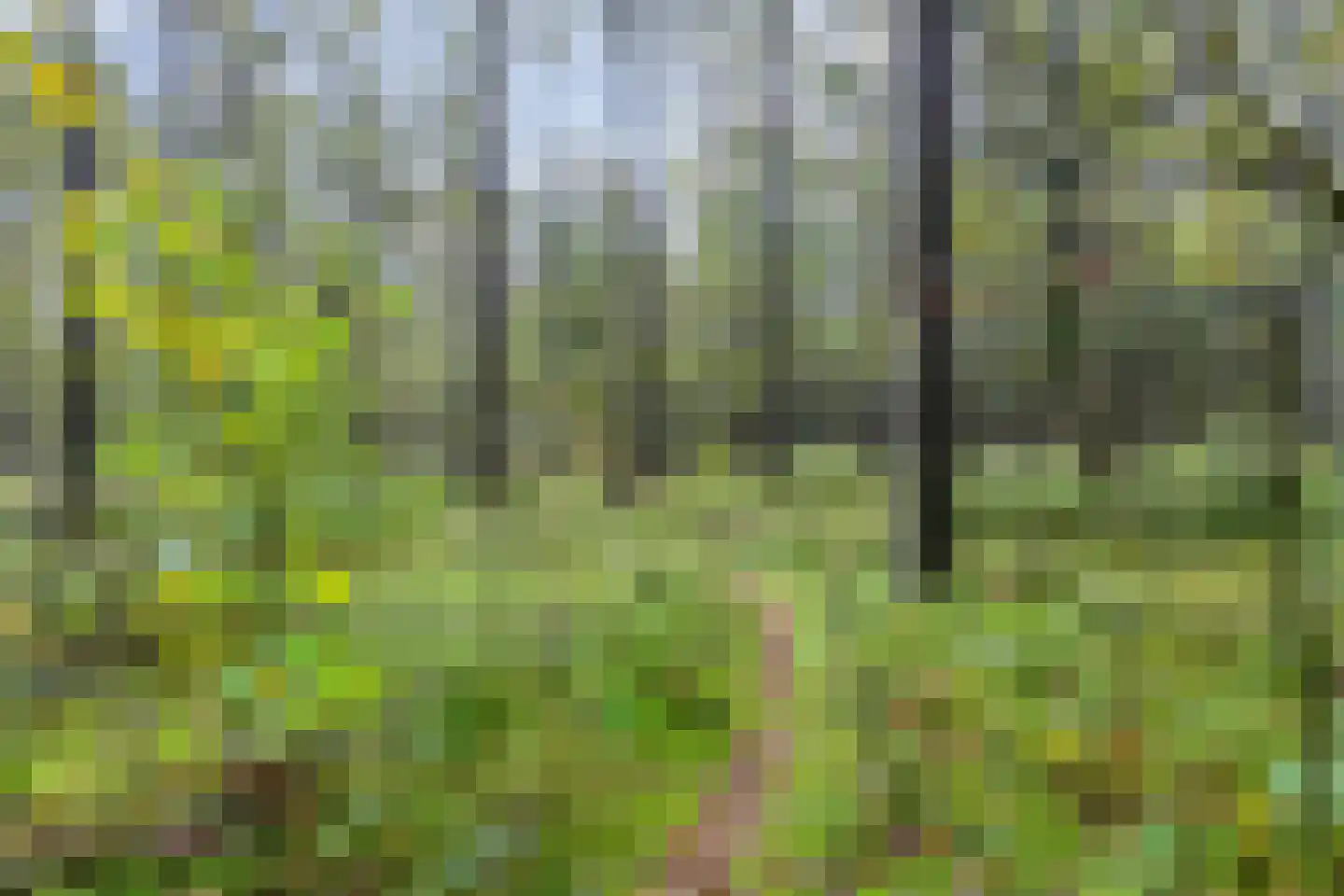 Voorsteweg 19 Norg thumbnail 37