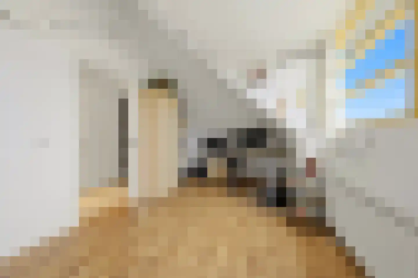 Voorstondenstraat 1 Den Haag thumbnail 47