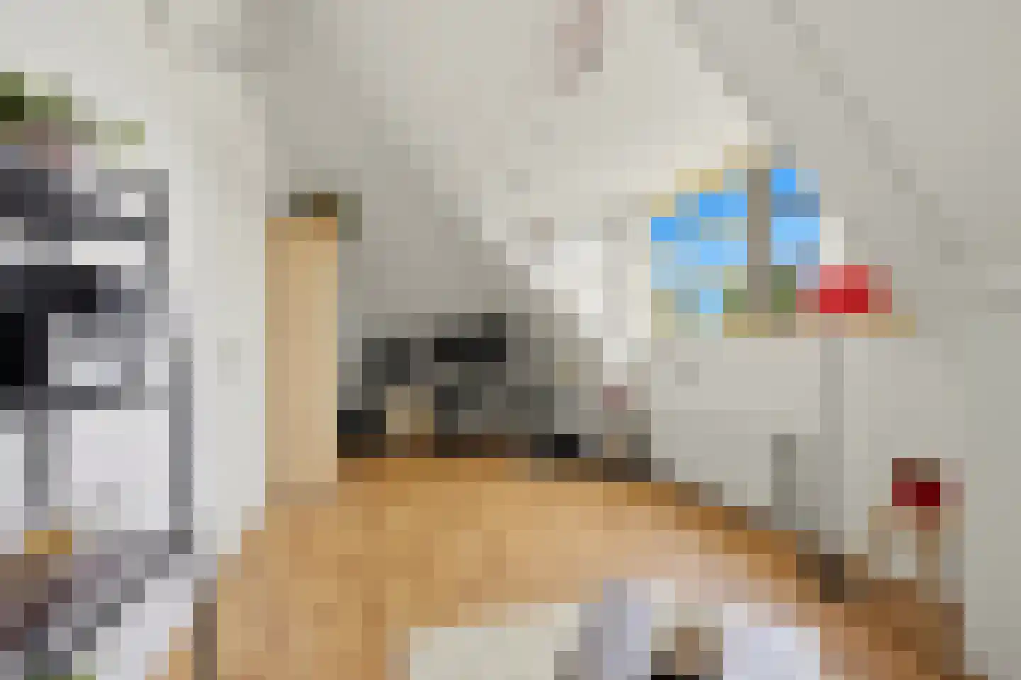 Voorstondenstraat 1 Den Haag thumbnail 49
