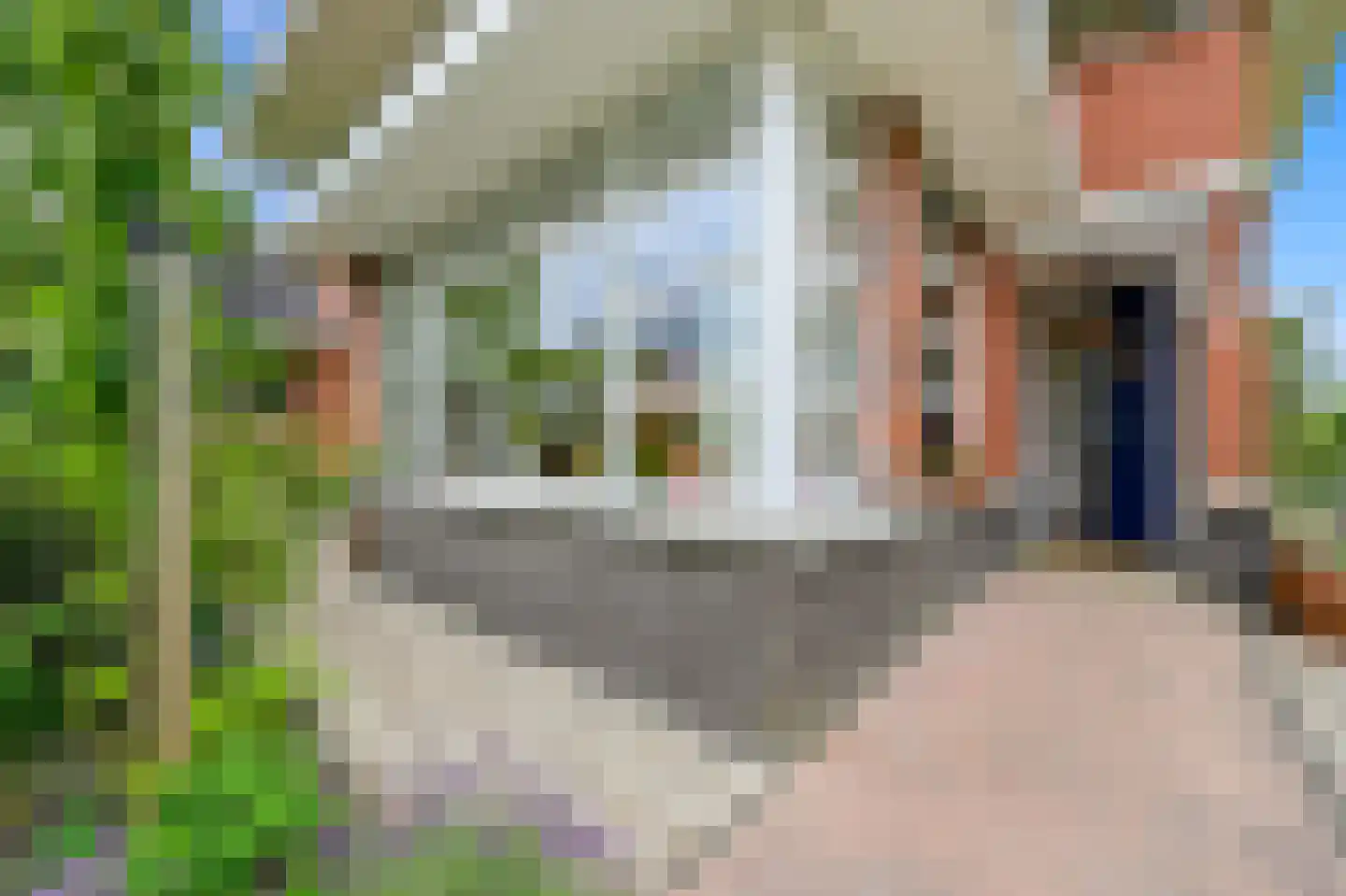 Voorstondenstraat 1 Den Haag thumbnail 5