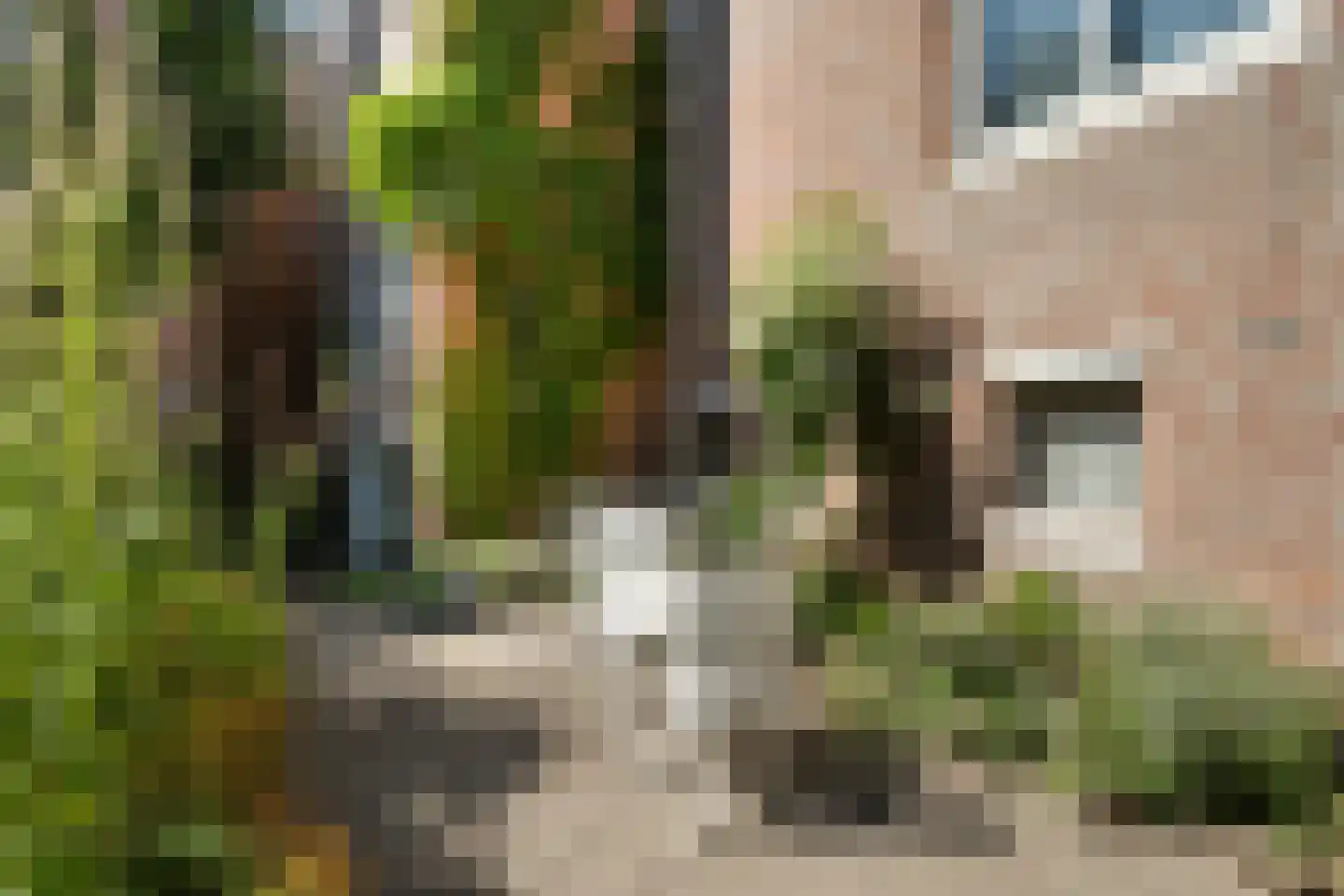 Voorstraat 1 Dordrecht thumbnail 34