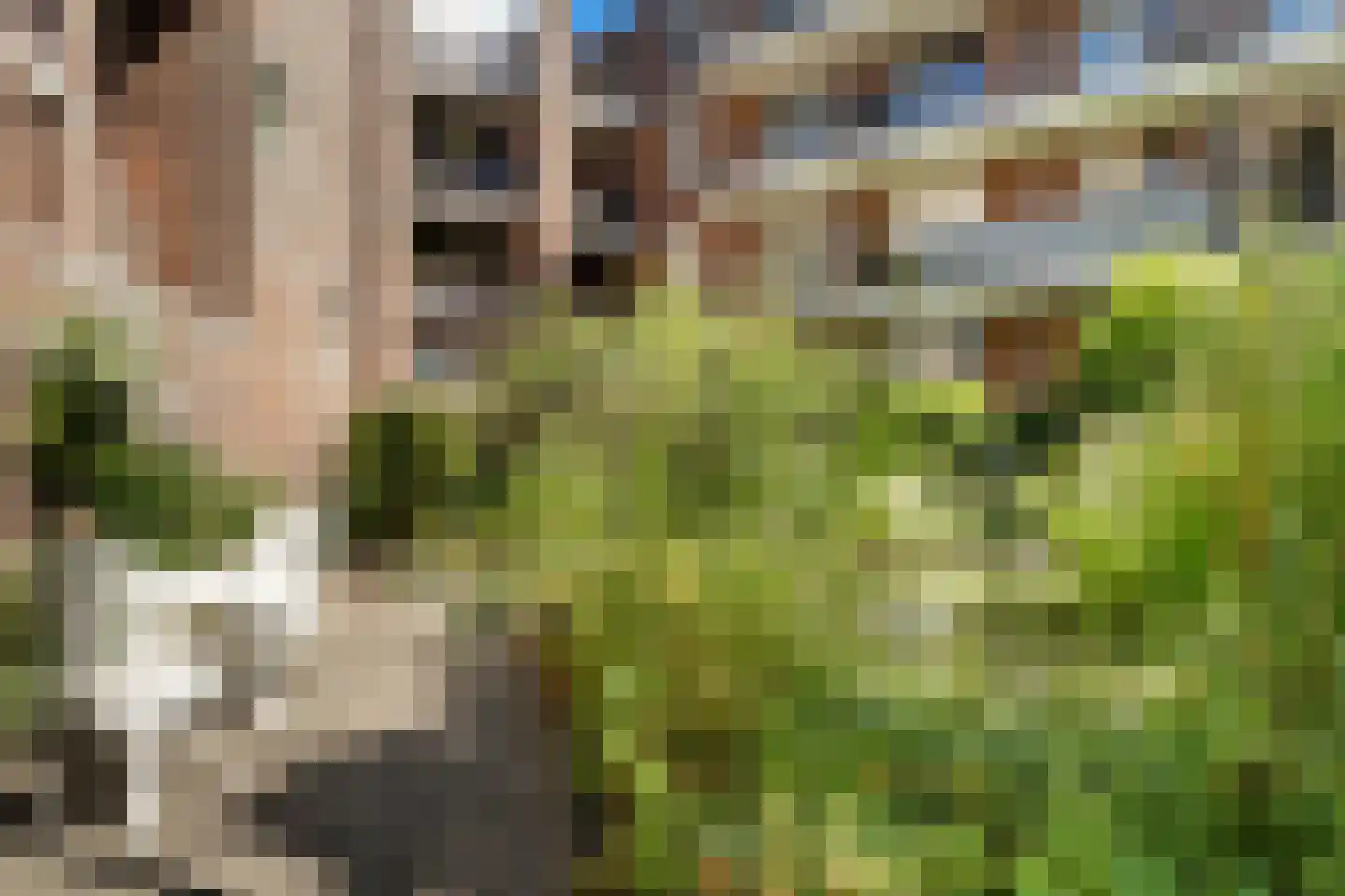 Voorstraat 1 Dordrecht thumbnail 35