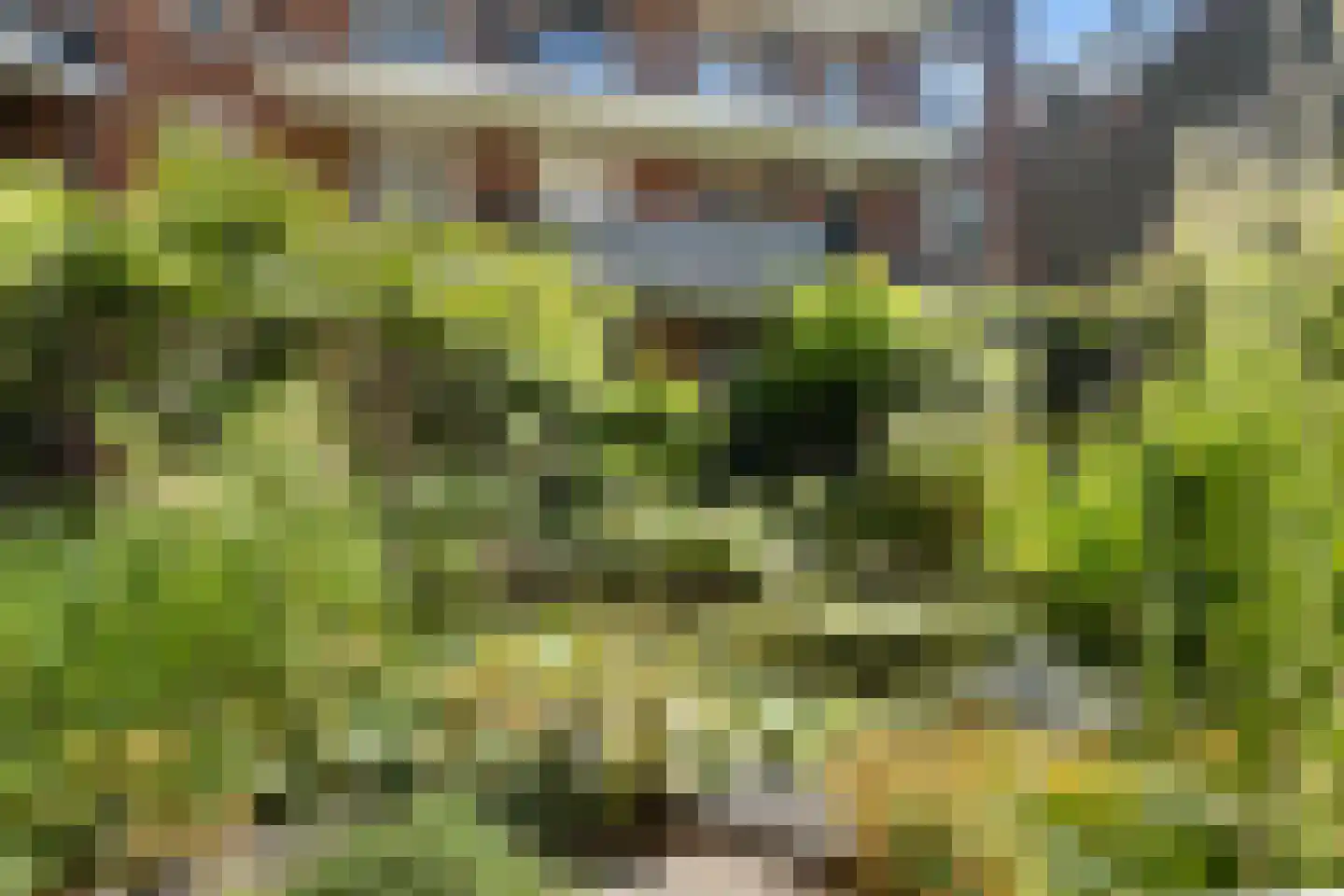 Voorstraat 1 Dordrecht thumbnail 4