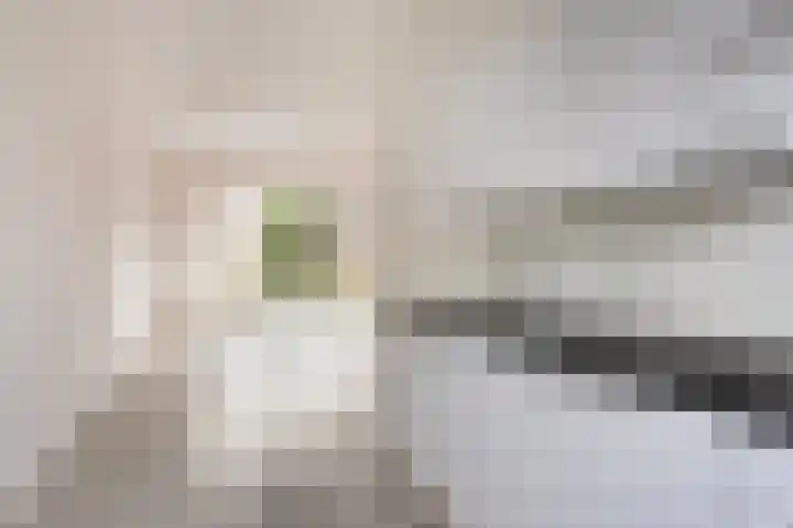 Voorstraat 1 E Grafhorst thumbnail 15