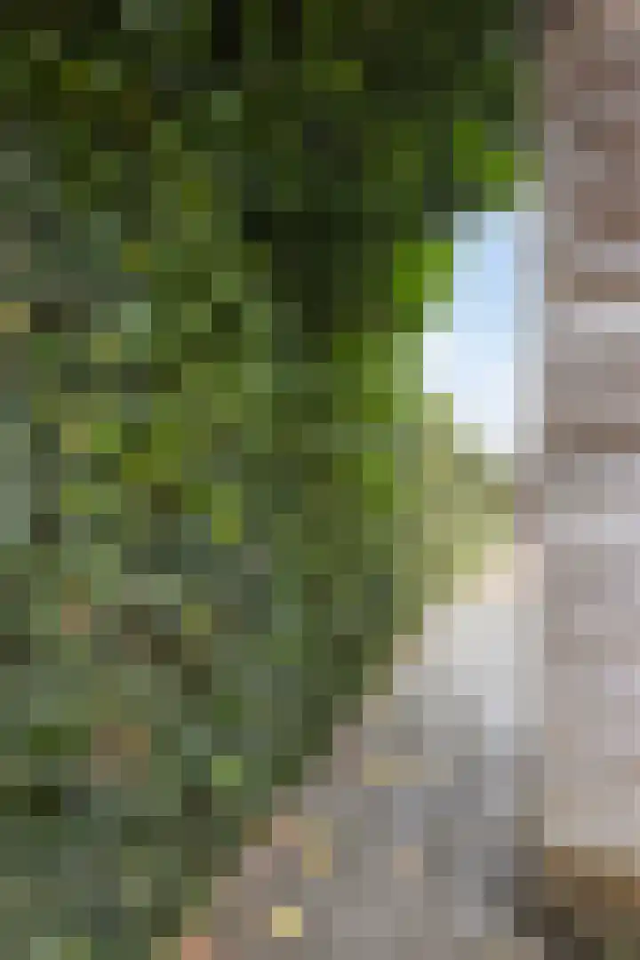 Voorstraat 1 E Grafhorst thumbnail 29