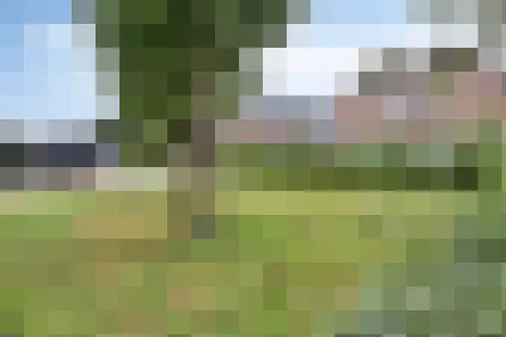 Voorstraat 1 E Grafhorst thumbnail 36