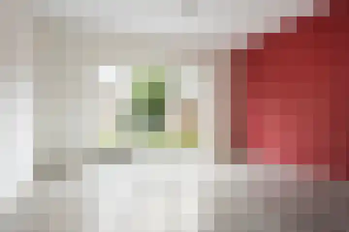 Voorstraat 1 E Grafhorst thumbnail 8