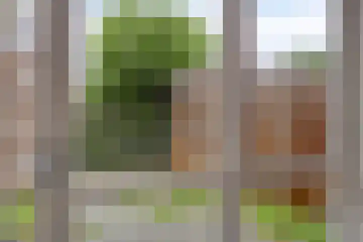 Voorstraat 1 E Grafhorst thumbnail 9