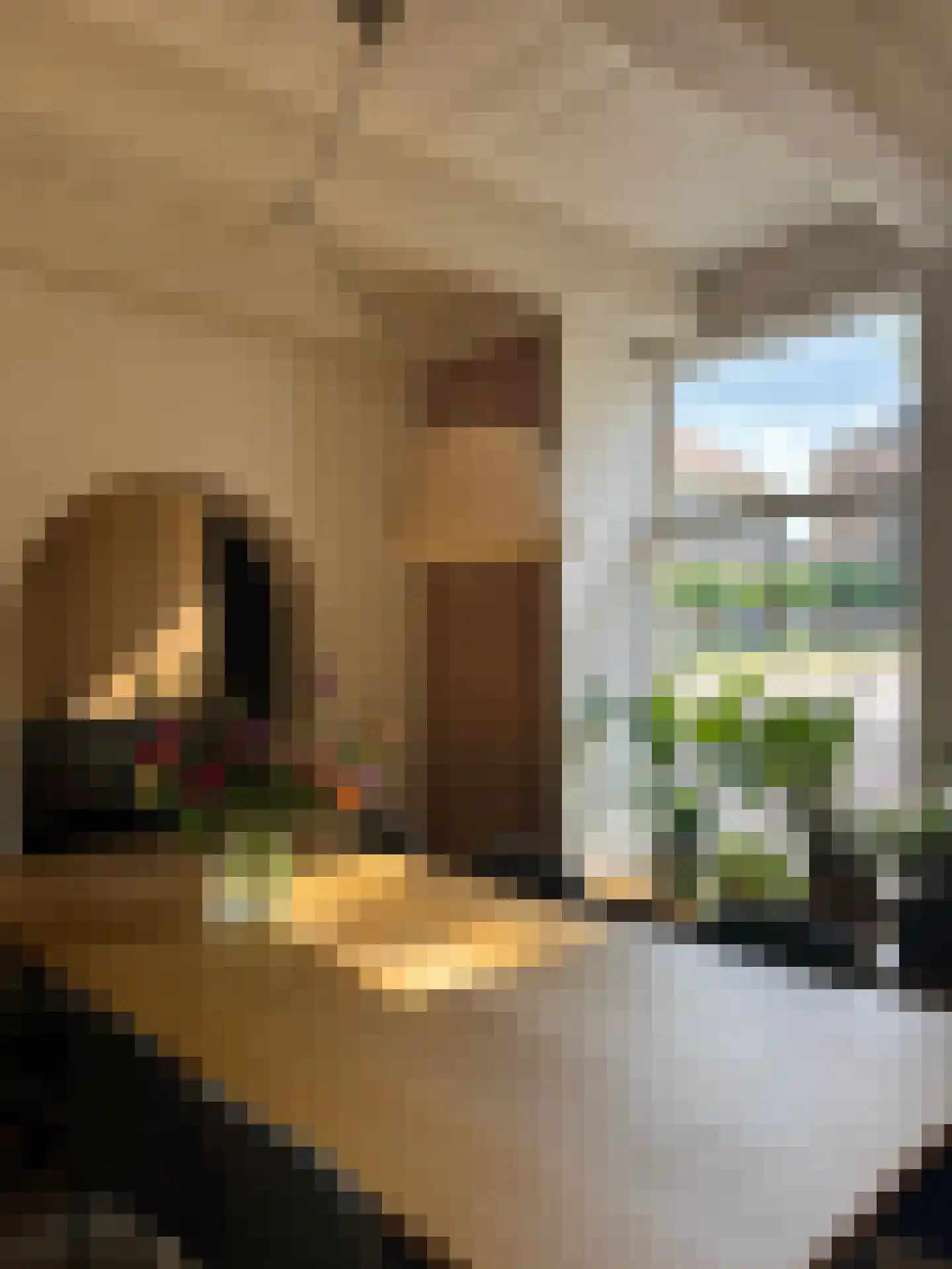 Voorstraat 1 Kampen thumbnail 12