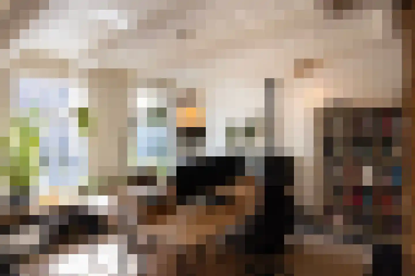 Voorstraat 1 Kampen thumbnail 14