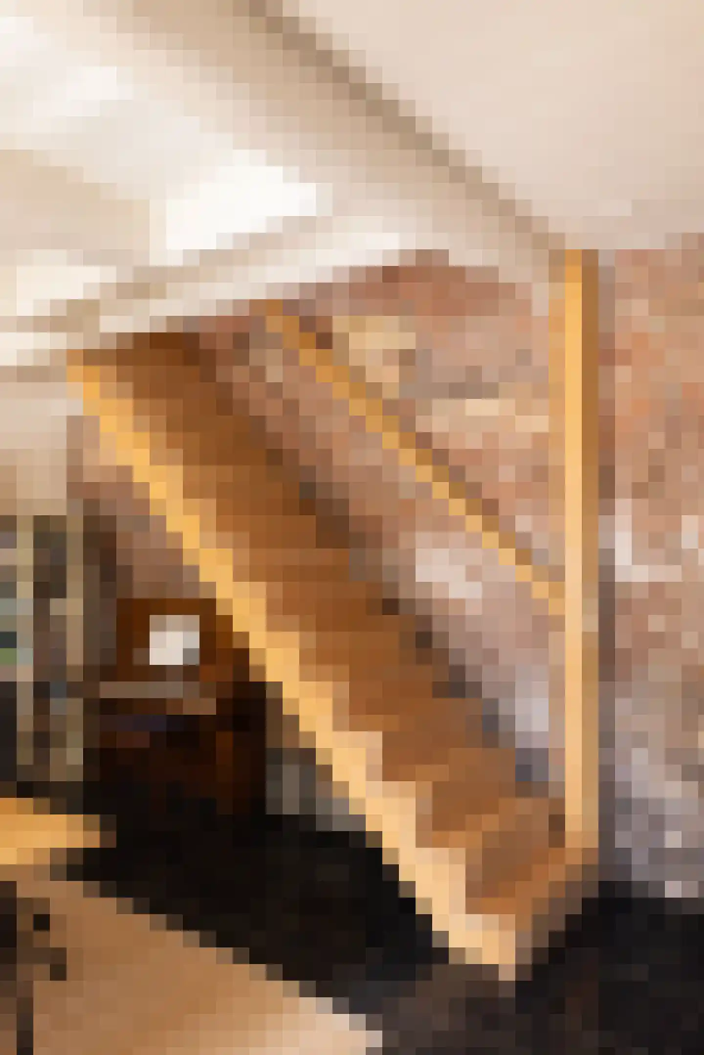 Voorstraat 1 Kampen thumbnail 15