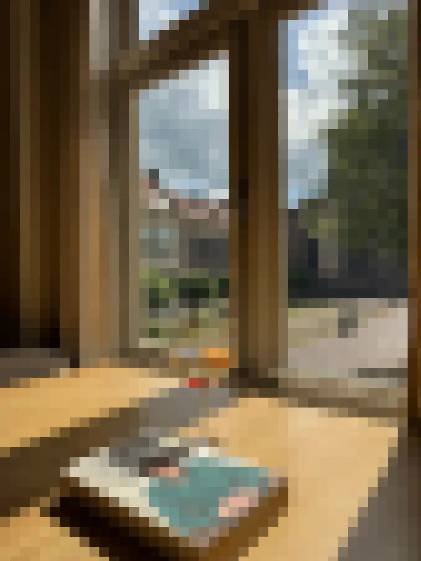 Voorstraat 1 Kampen thumbnail 21