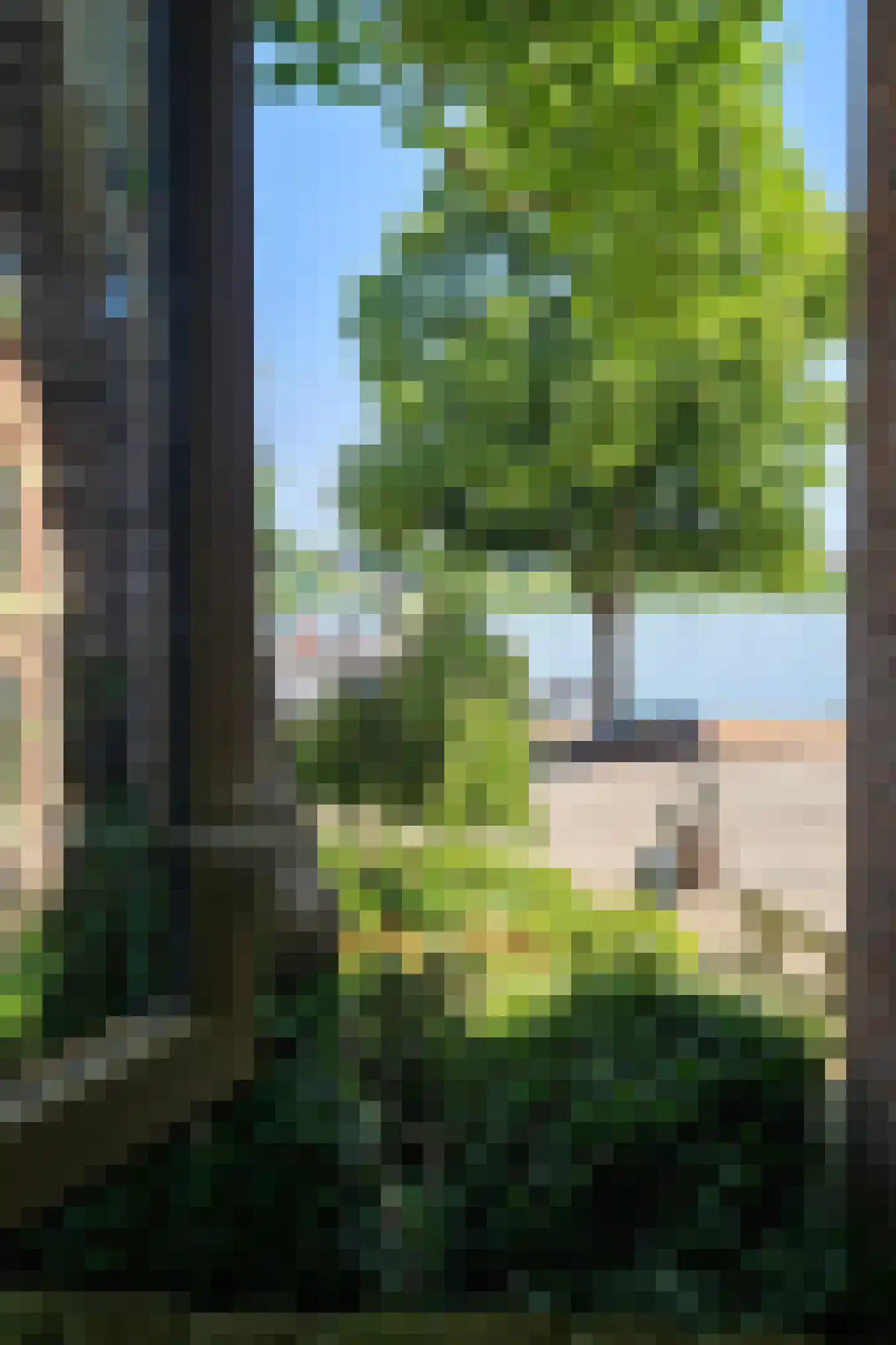 Voorstraat 1 Kampen thumbnail 26