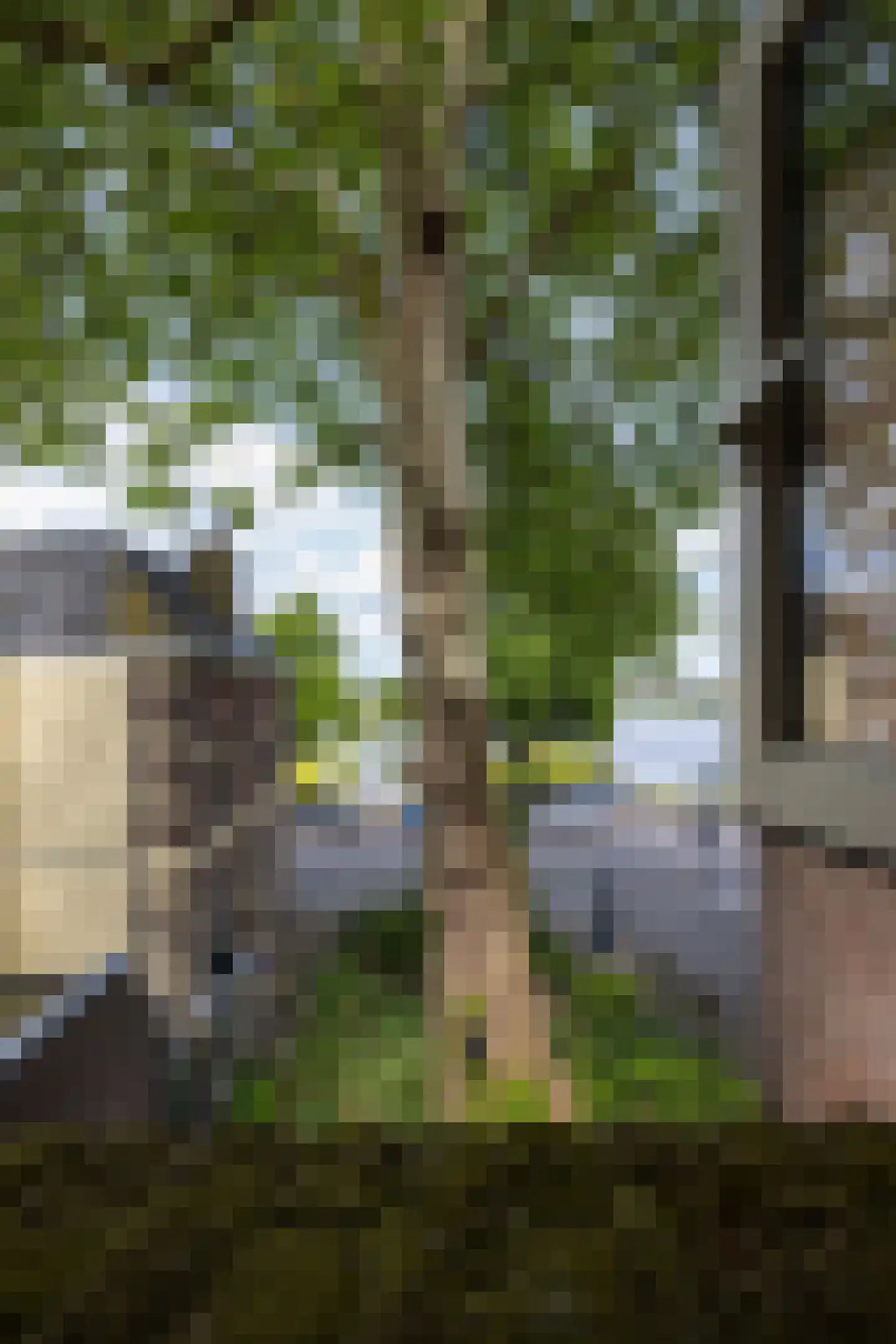 Voorstraat 1 Kampen thumbnail 37