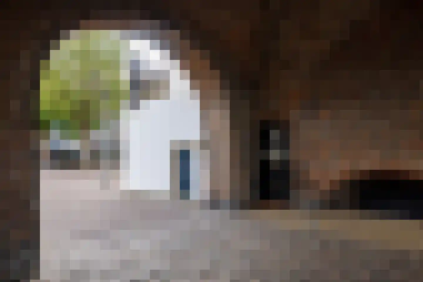 Voorstraat 1 Kampen thumbnail 48