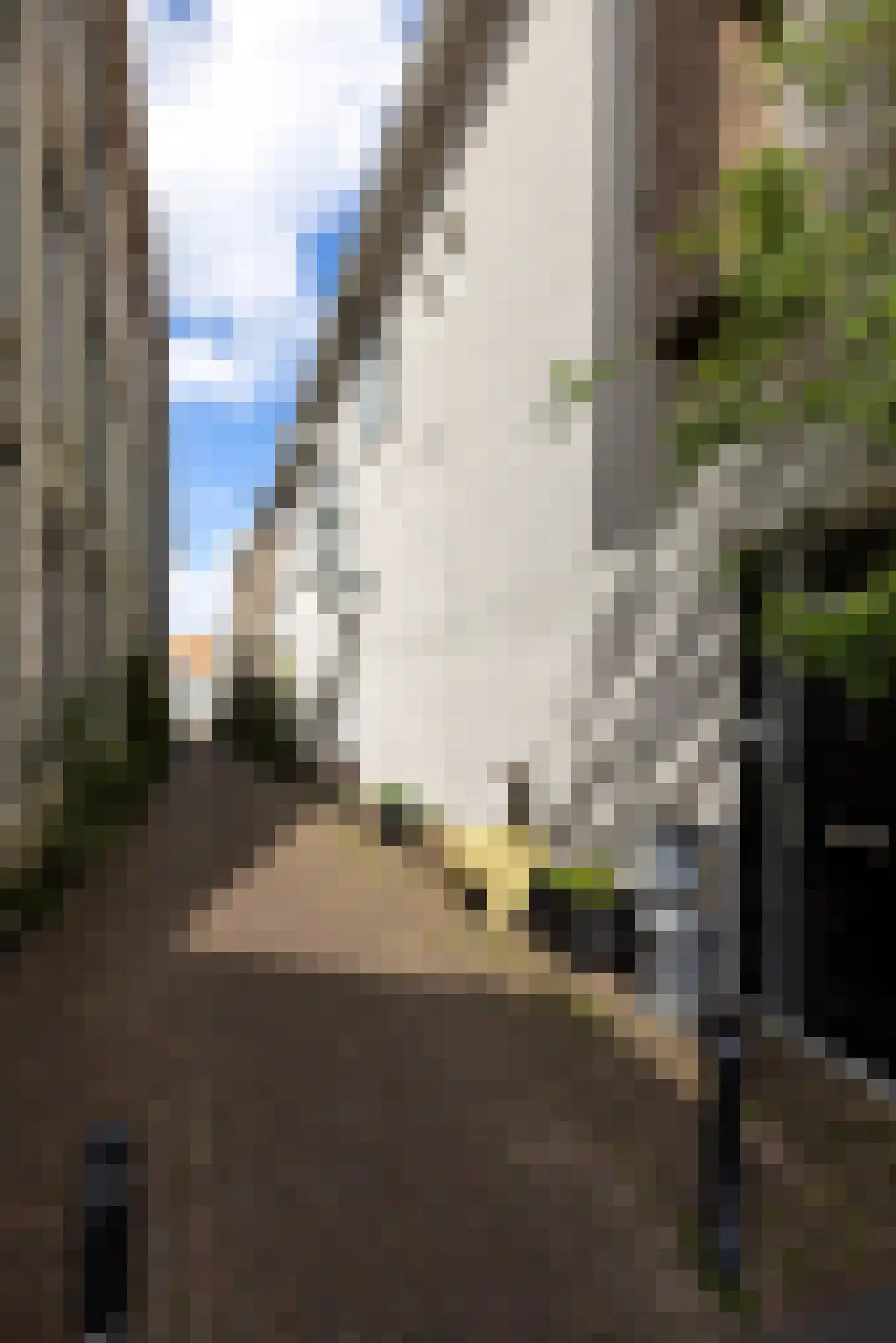 Voorstraat 1 Kampen thumbnail 49