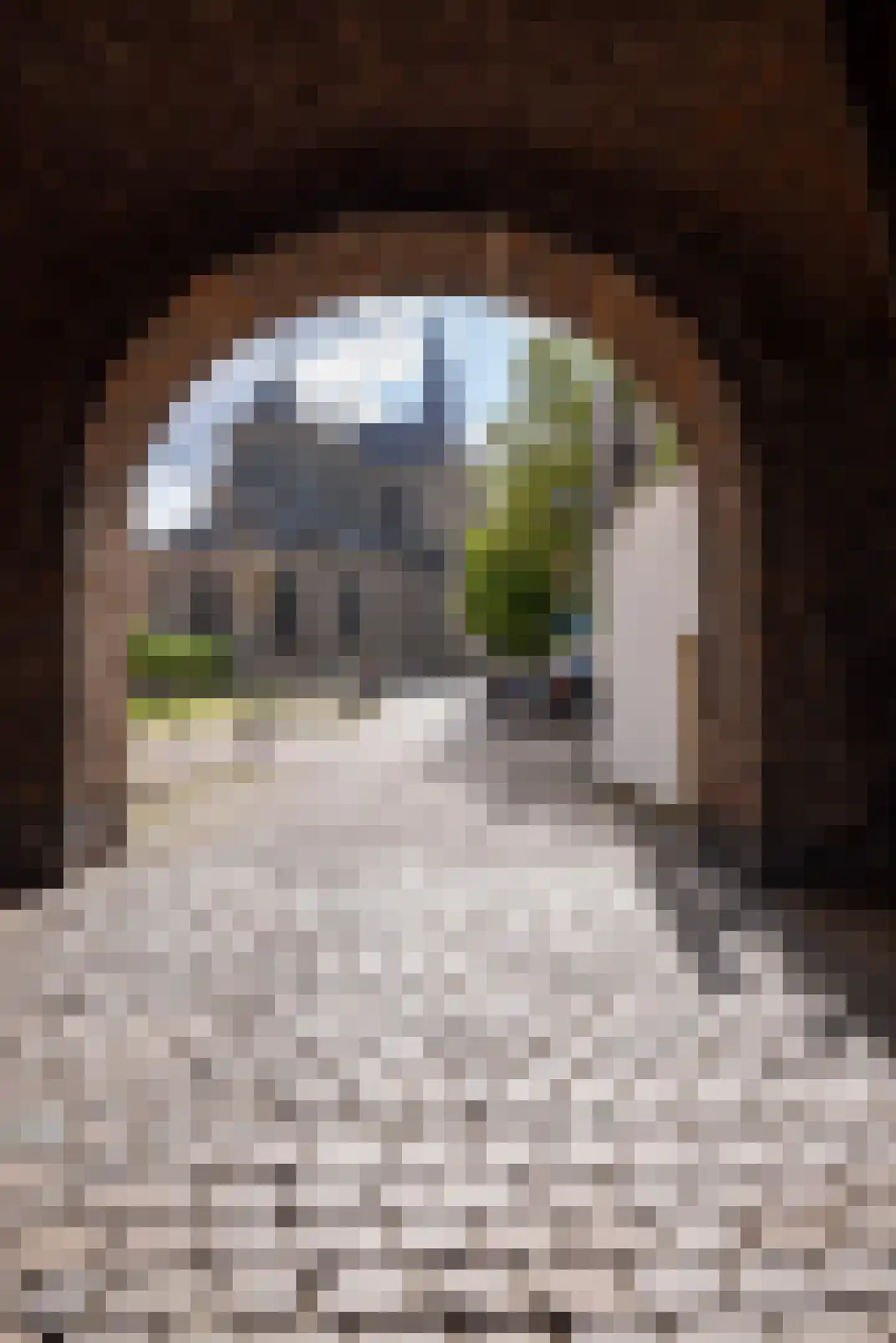 Voorstraat 1 Kampen thumbnail 8