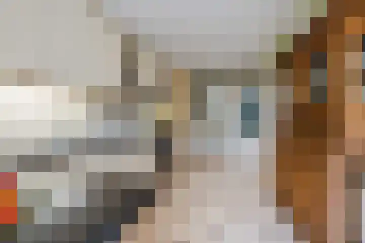 Voorstraat 10 Den Bommel thumbnail 20