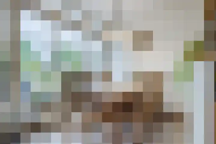 Voorstraat 10 Den Bommel thumbnail 22