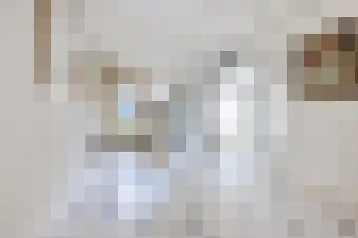 Voorstraat 10 Den Bommel thumbnail 25