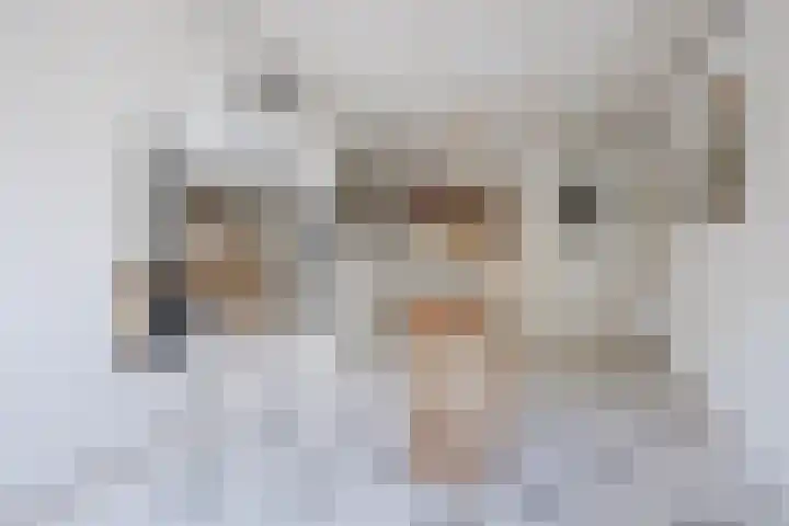 Voorstraat 10 Den Bommel thumbnail 26