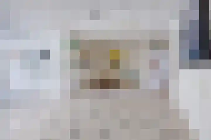 Voorstraat 10 Den Bommel thumbnail 30