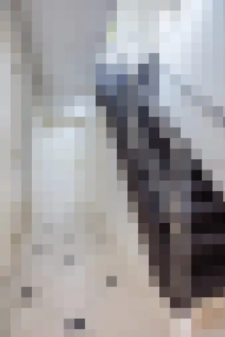 Voorstraat 10 Den Bommel thumbnail 37