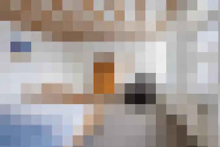 Voorstraat 10 Den Bommel thumbnail 45