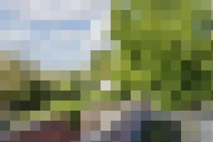 Voorstraat 10 Den Bommel thumbnail 63
