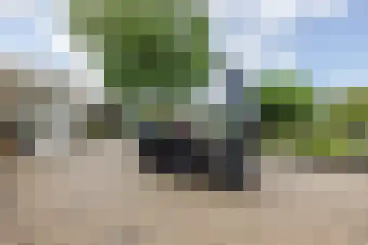 Voorstraat 10 Den Bommel thumbnail 65