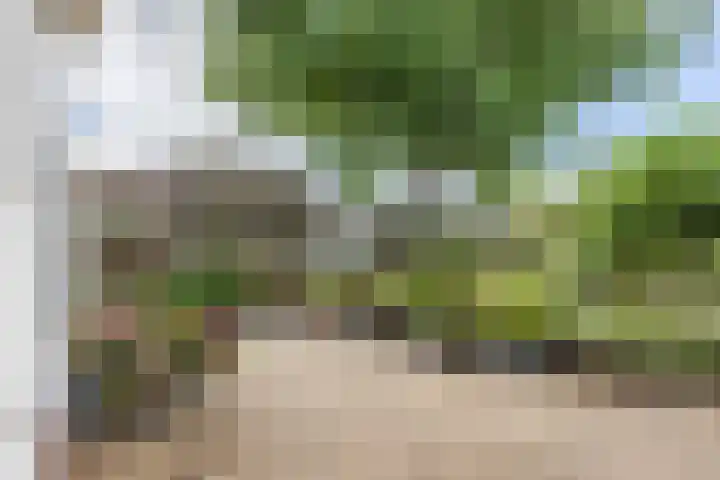 Voorstraat 10 Den Bommel thumbnail 67