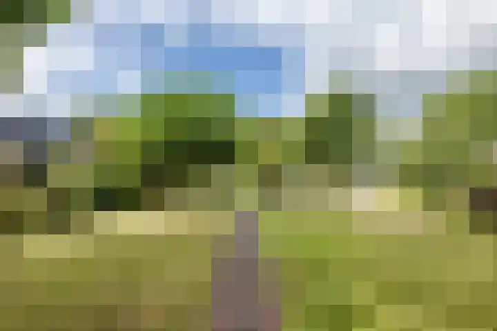 Voorstraat 10 Den Bommel thumbnail 69