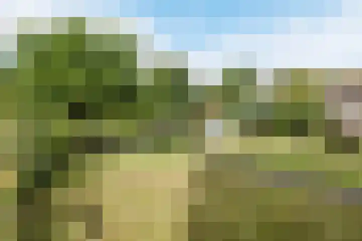 Voorstraat 10 Den Bommel thumbnail 70