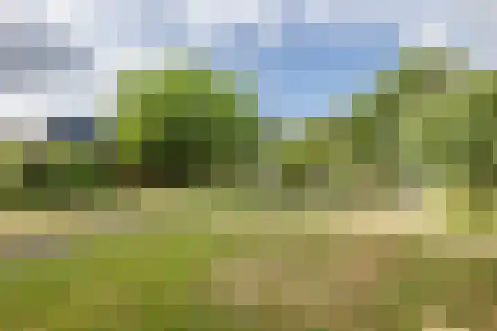 Voorstraat 10 Den Bommel thumbnail 71