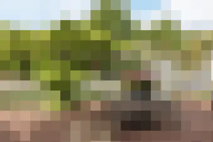 Voorstraat 10 Den Bommel thumbnail 72