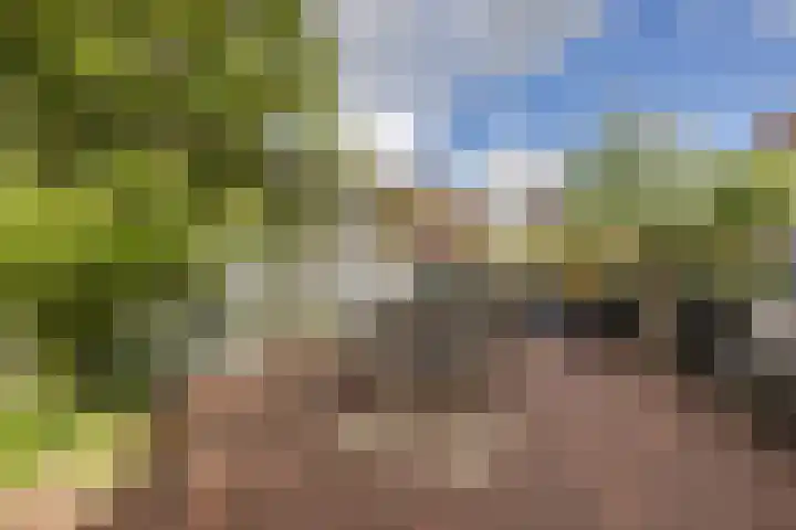 Voorstraat 10 Den Bommel thumbnail 73