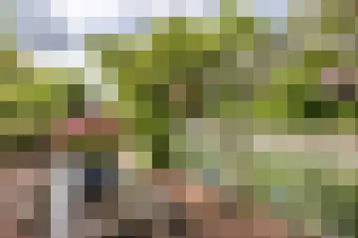 Voorstraat 10 Den Bommel thumbnail 74