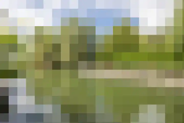 Voorstraat 10 Den Bommel thumbnail 75