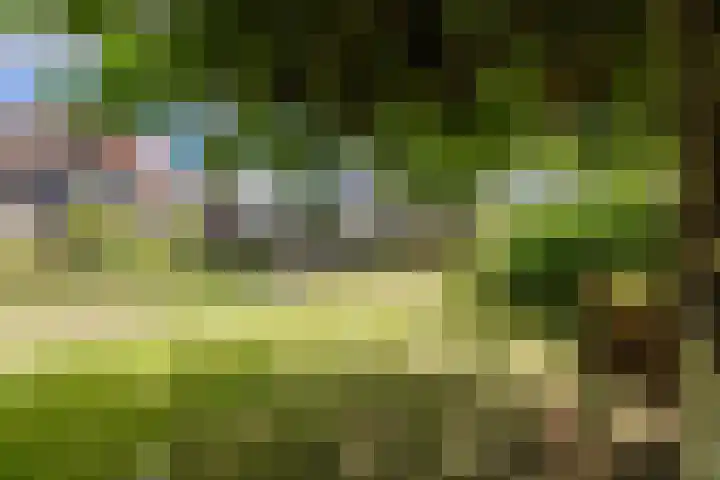 Voorstraat 10 Den Bommel thumbnail 76