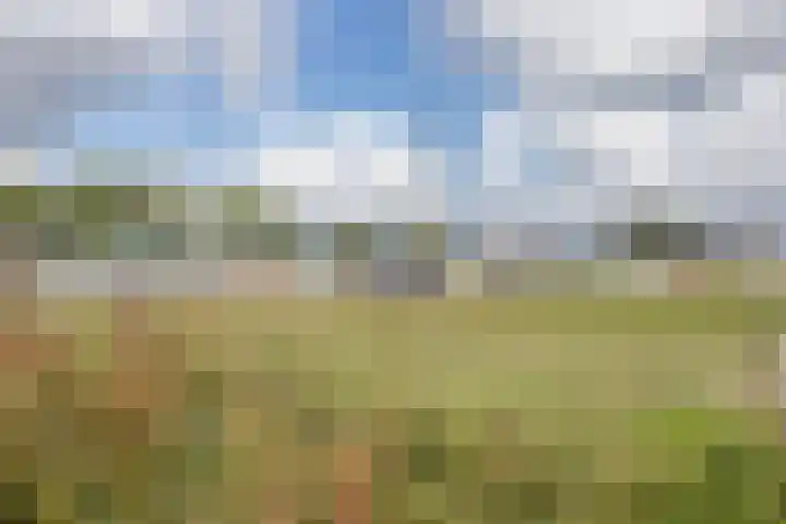 Voorstraat 10 Den Bommel thumbnail 82