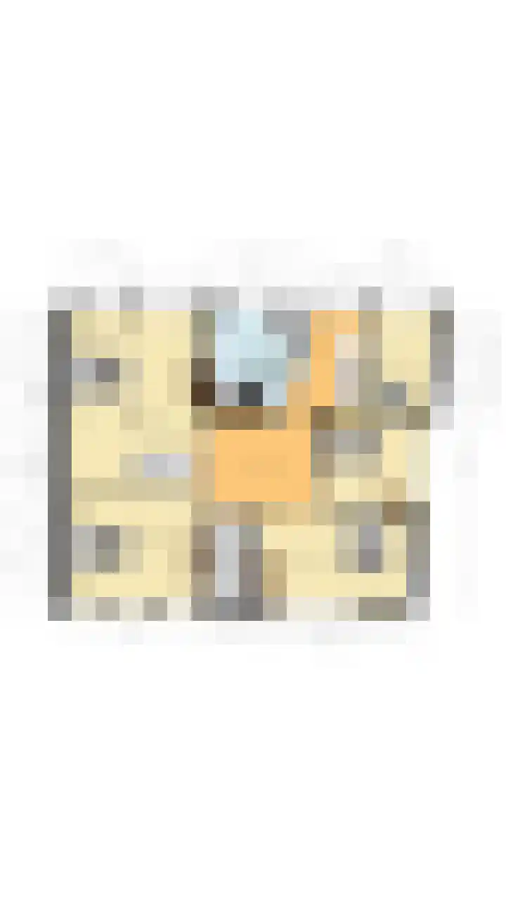 Voorstraat 10 Den Bommel thumbnail 85