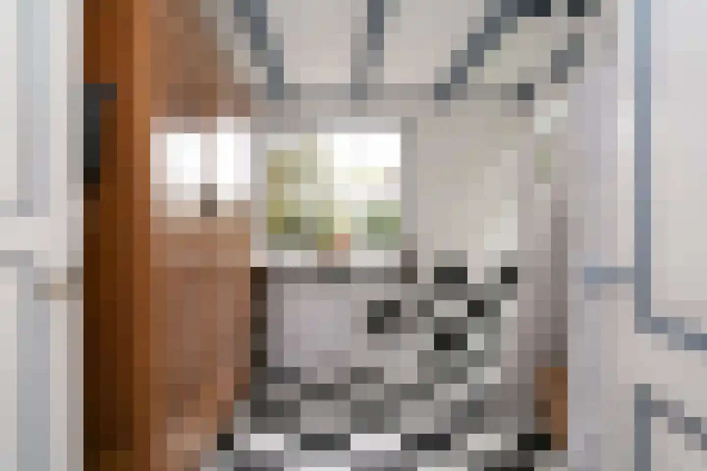 Voorstraat 10 Melissant thumbnail 14