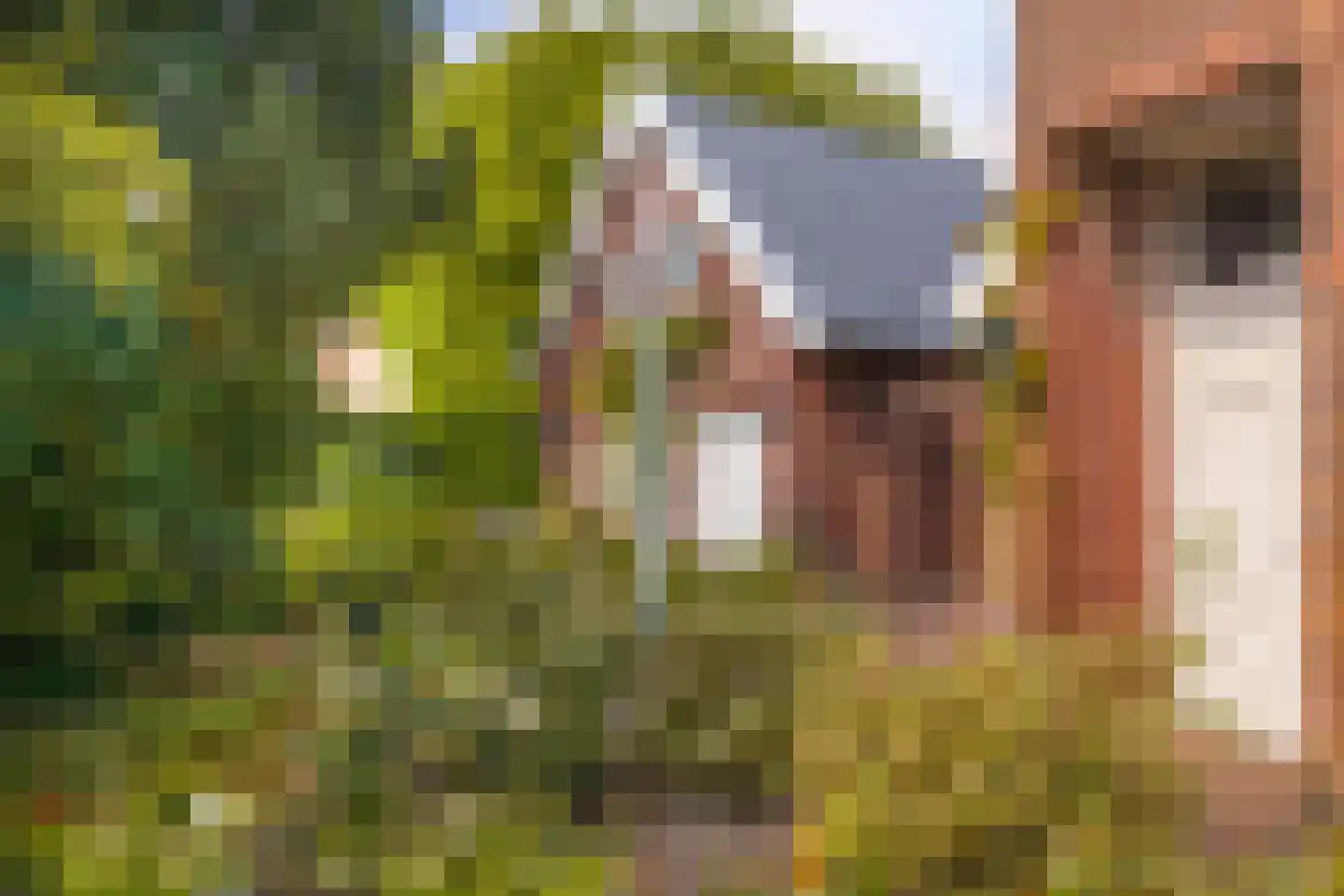 Voorstraat 10 Melissant thumbnail 24
