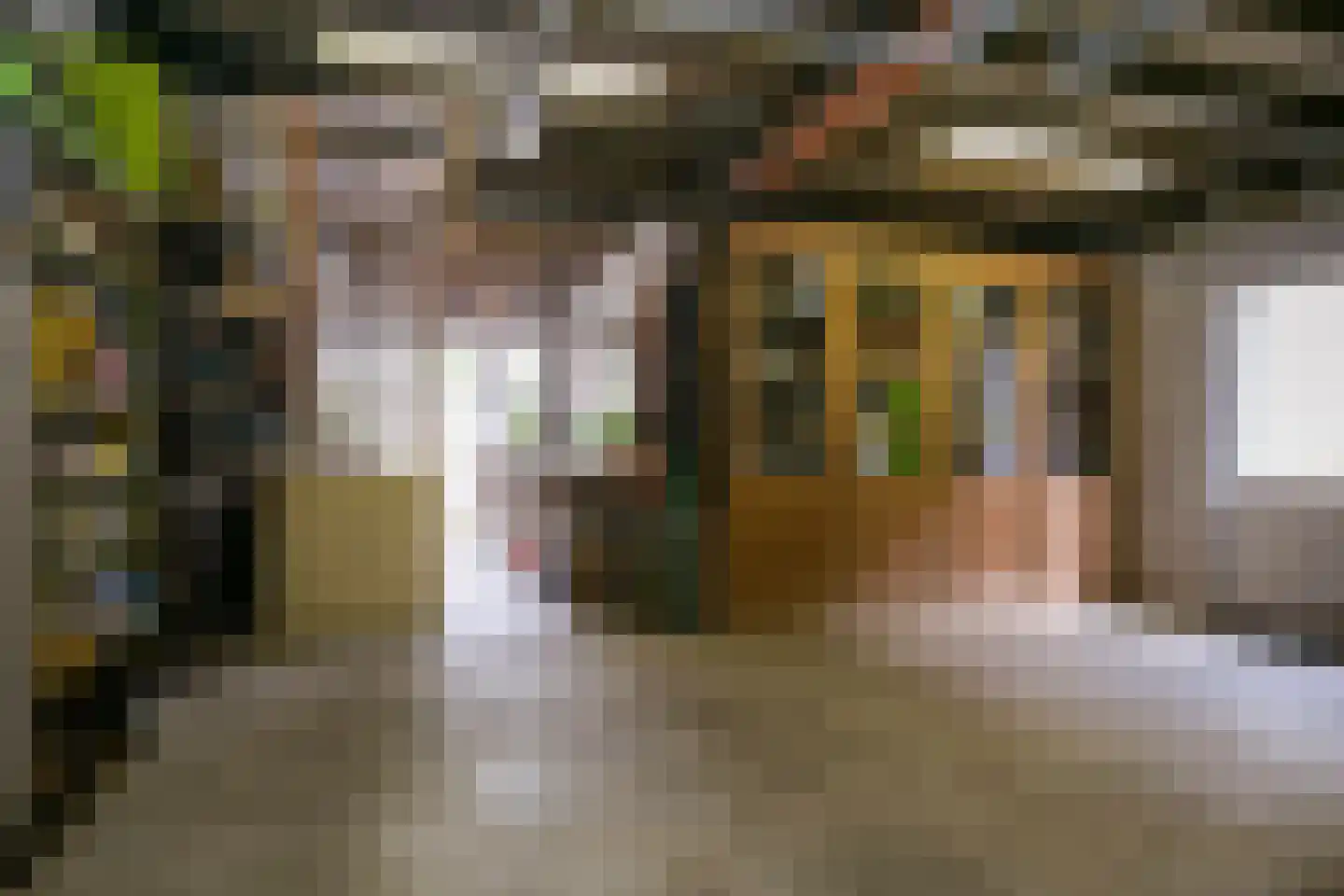 Voorstraat 10 Melissant thumbnail 27