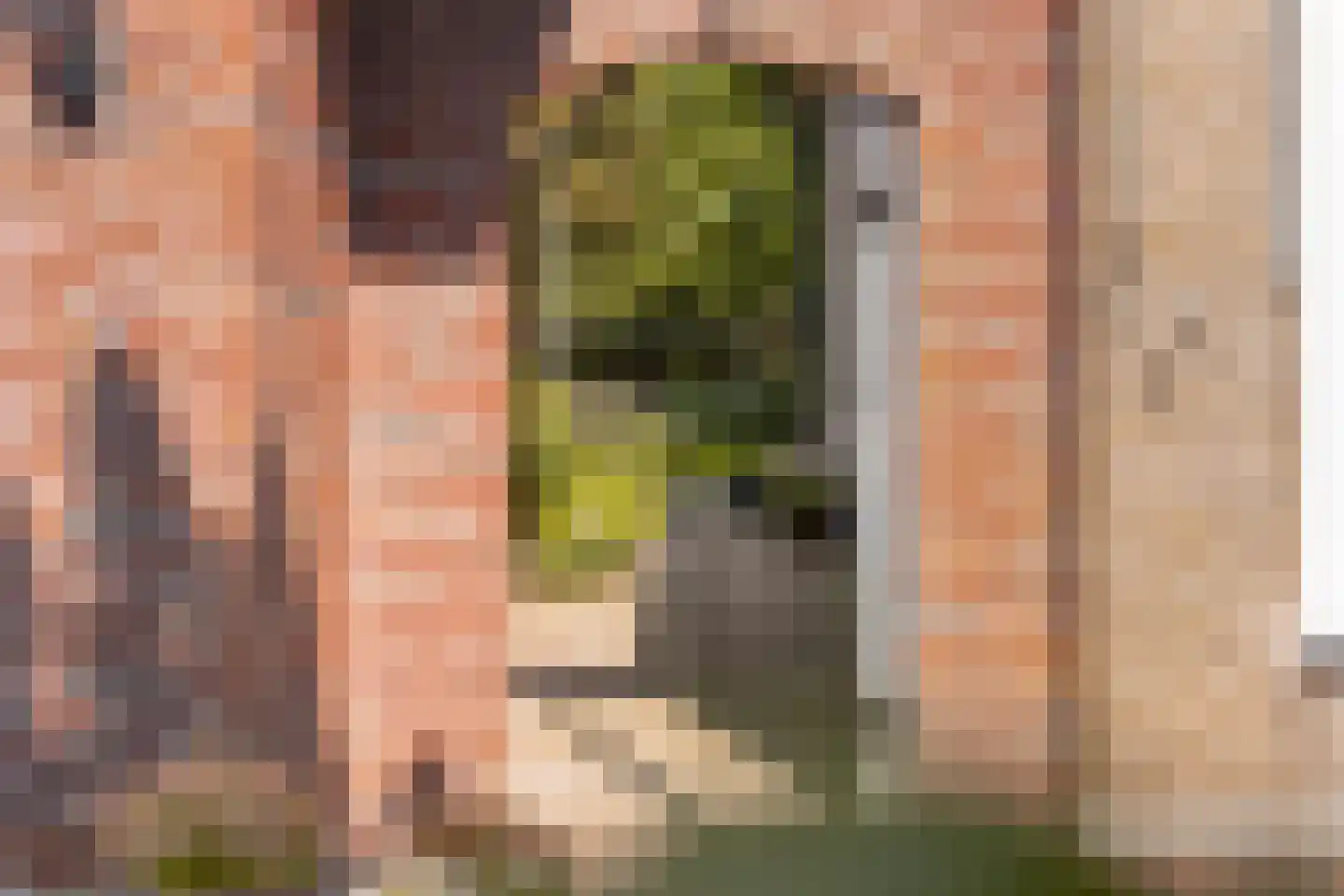Voorstraat 10 Melissant thumbnail 30