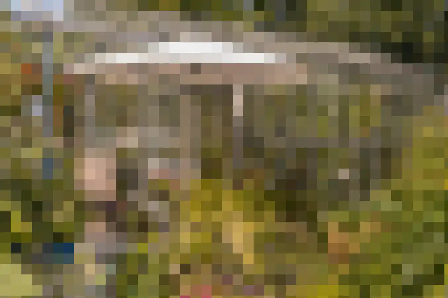 Voorstraat 10 Melissant thumbnail 32
