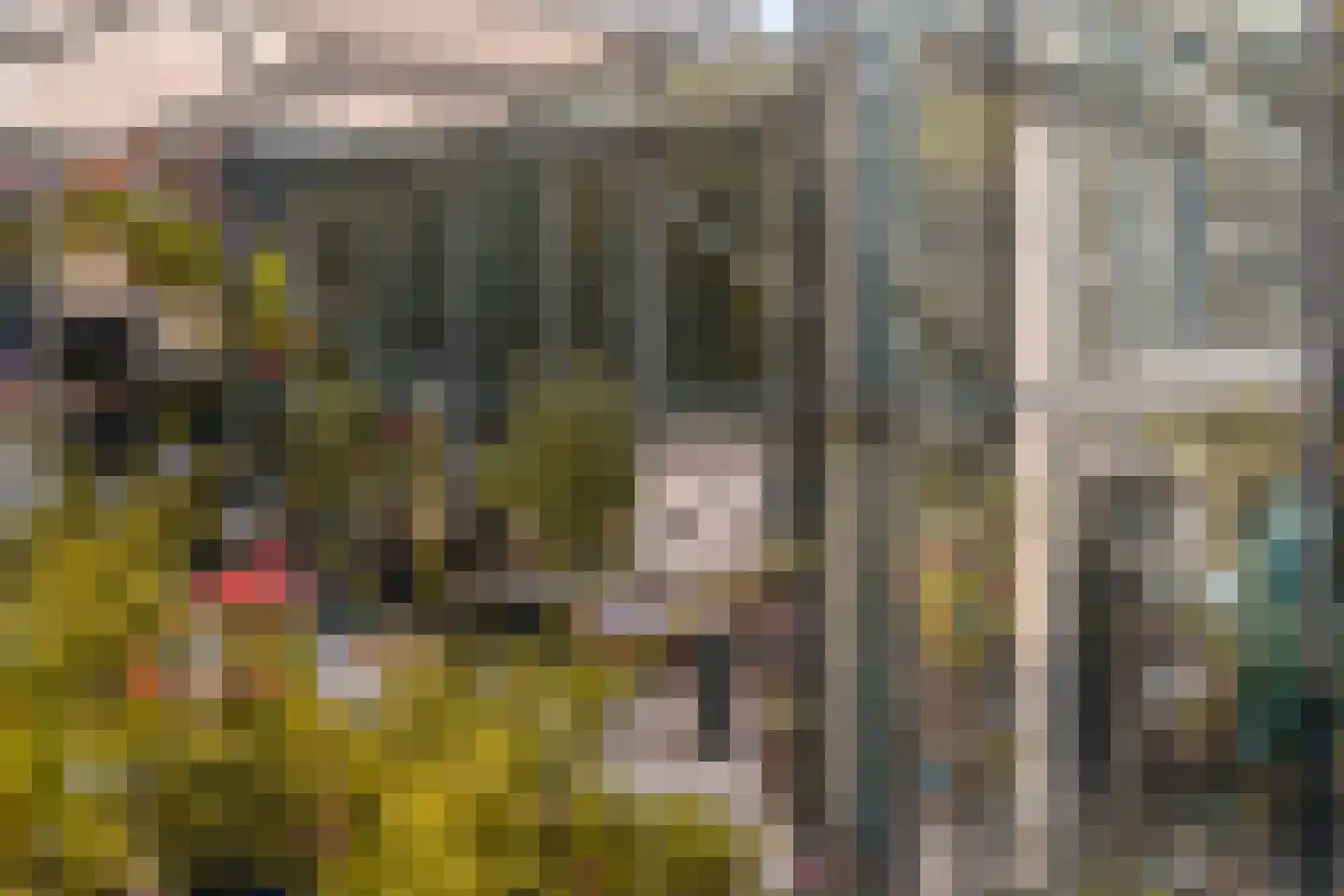 Voorstraat 10 Melissant thumbnail 33