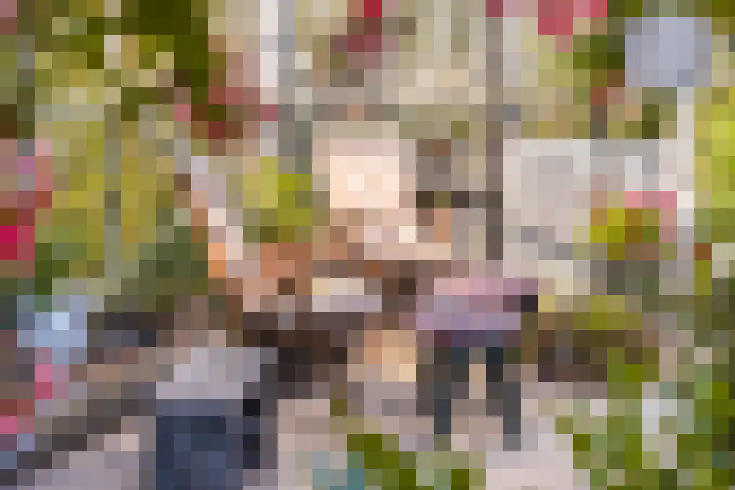 Voorstraat 10 Melissant thumbnail 34