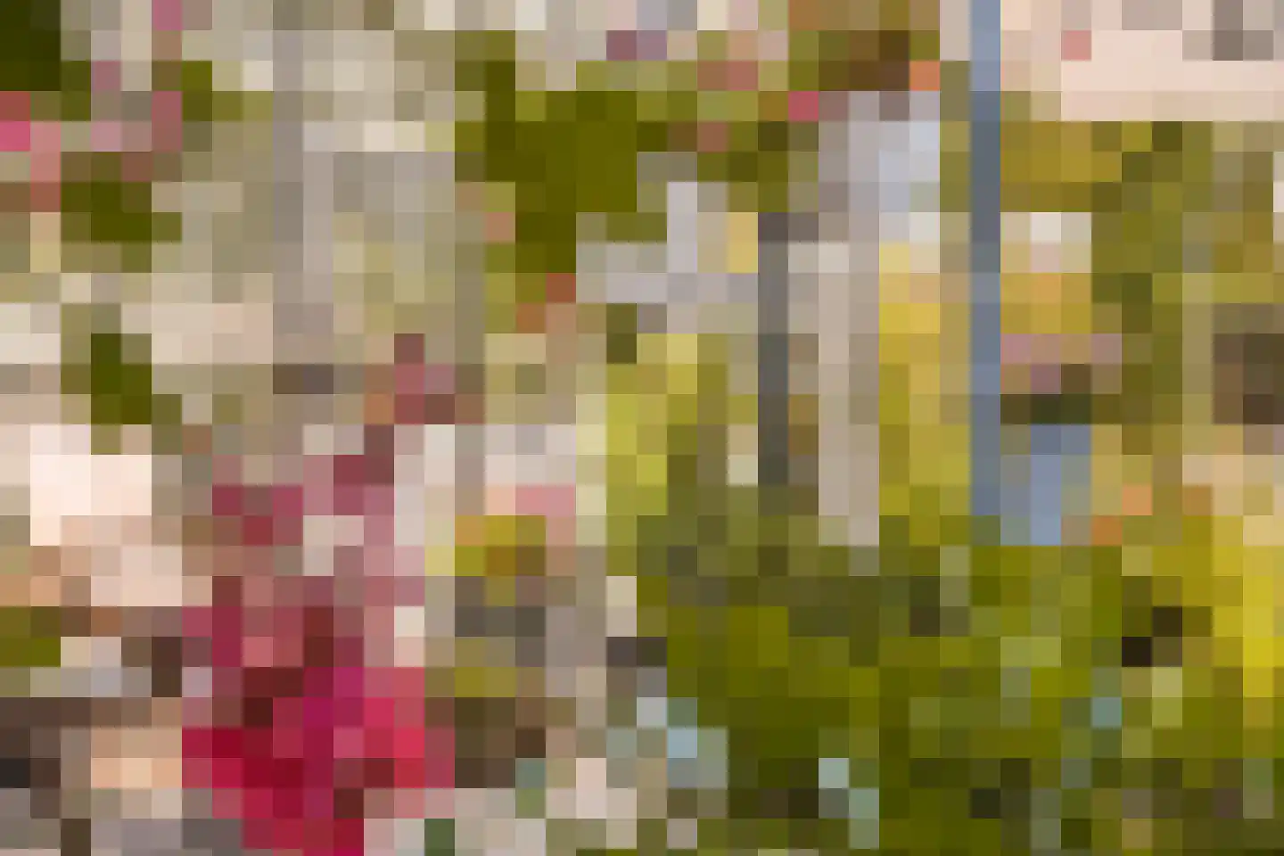 Voorstraat 10 Melissant thumbnail 35